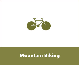 Mountain Biking