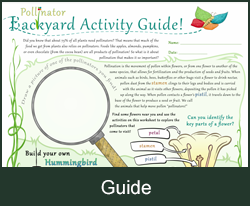 Backyard Activity Guide