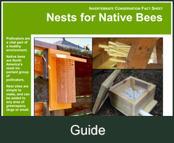 Nests for Native Bees